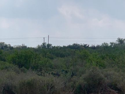 Farm and Ranch for sale in Duval County, Texas