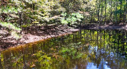 Land for sale in Benton County, Tennessee