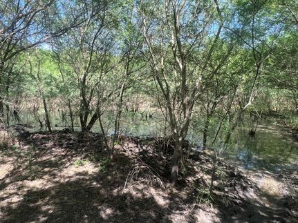 Farm and Ranch for sale in Duval County, Texas