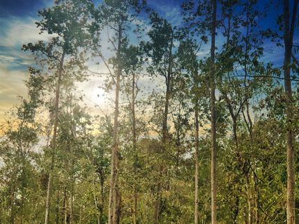 Recreational Property for sale in Orange County, Texas