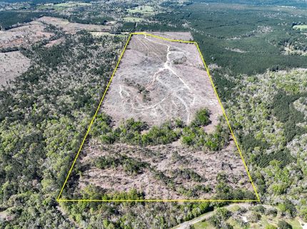 Undeveloped Land for sale in Jasper County, Texas