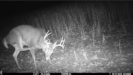 Land for sale in Cooper County, Missouri