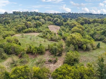 Undeveloped Land for sale in Giles County, Tennessee