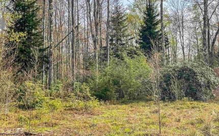 Land for sale in Tucker County, West Virginia
