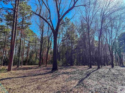 Undeveloped Land for sale in Miller County, Arkansas