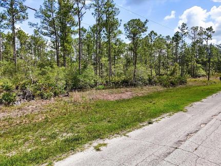 Land for sale in Polk County, Florida