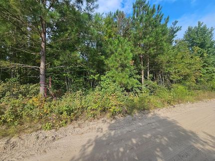 Land for sale in Orangeburg County, South Carolina