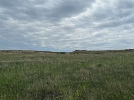 Land for sale in Richland County, Montana