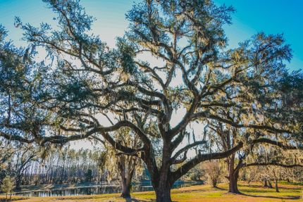 Farm and Ranch for sale in Suwannee County, Florida