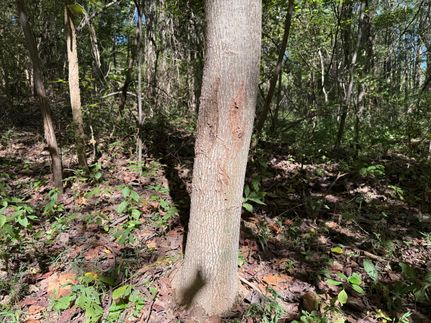 Recreational Property for sale in Hardin County, Illinois