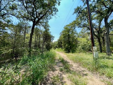 Land for sale in Bastrop County, Texas