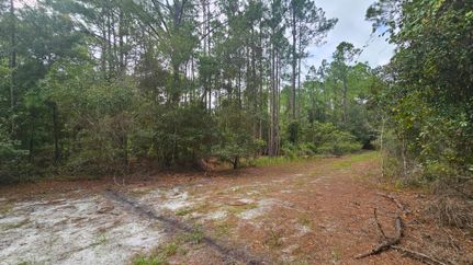 Land for sale in Putnam County, Florida