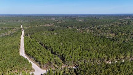 Timberland Property for sale in Charlton County, Georgia
