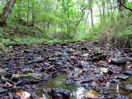 Farm and Ranch in Ralls County, Missouri