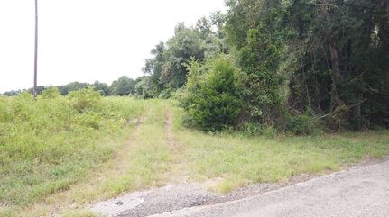 Undeveloped Land for sale in Anderson County, Texas