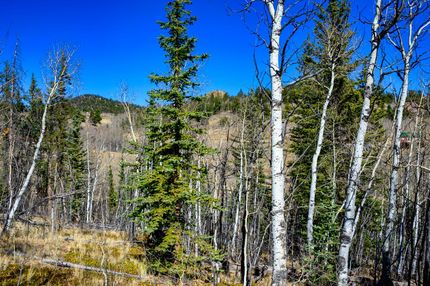 Undeveloped Land for sale in Park County, Colorado