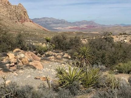 Land for sale in Clark County, Nevada