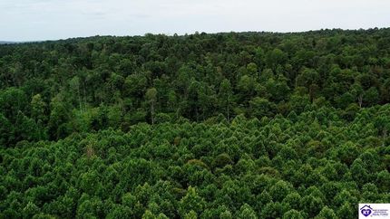 Undeveloped Land for sale in Ohio County, Kentucky