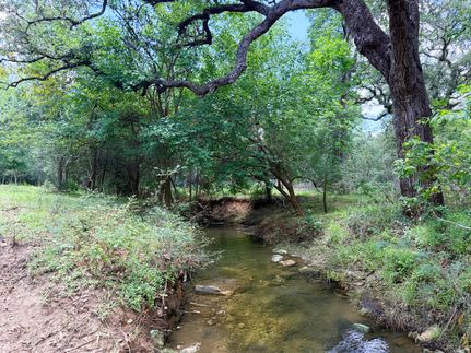 Hunting Property for sale in Bastrop County, Texas