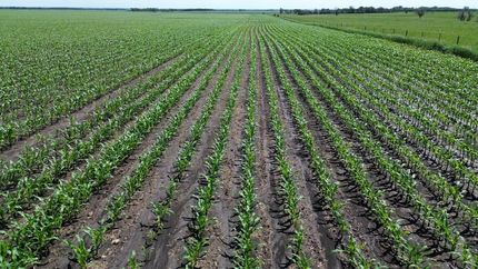 Farm and Ranch for sale in Roberts County, South Dakota