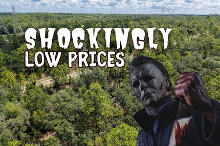 Farm and Ranch for sale in Citrus County, Florida