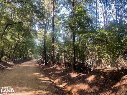 Land for sale in Oktibbeha County, Mississippi