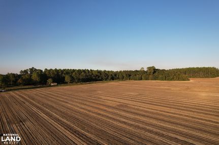 Farm and Ranch for sale in Mitchell County, Georgia