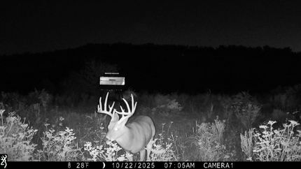 Waterfront Property for sale in King County, Texas