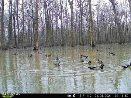 Farm and Ranch for sale in Humphreys County, Mississippi