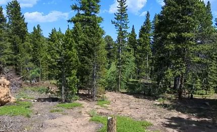 Recreational Property for sale in Clear Creek County, Colorado
