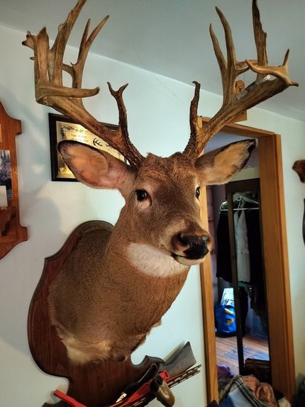 Farm and Ranch for sale in Waldo County, Maine