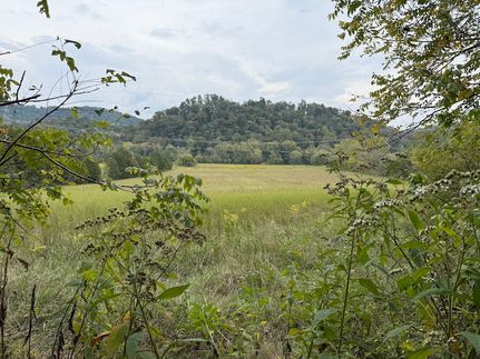 Land for sale in Knox County, Tennessee