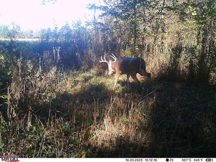 Undeveloped Land for sale in Clark County, Illinois