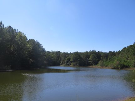 Land for sale in Wayne County, Mississippi