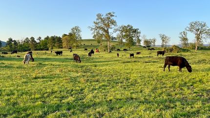 Farm and Ranch for sale in Le Flore County, Oklahoma