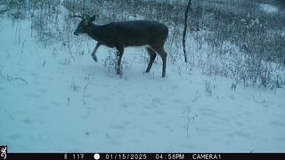 Recreational Property in Dunn County, Wisconsin