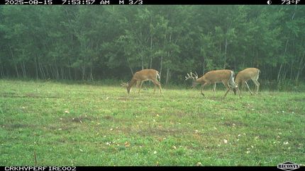 Recreational Property in Clare County, Michigan