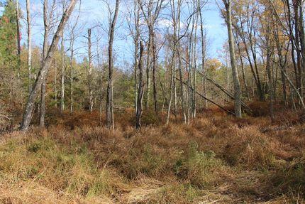 Farm and Ranch for sale in Frederick County, Virginia