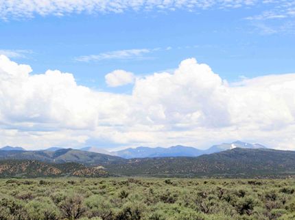 Timberland Property for sale in Costilla County, Colorado