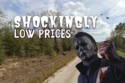 Land for sale in Putnam County, Florida