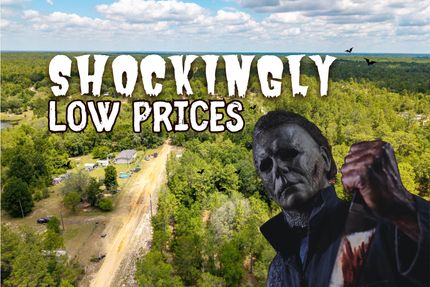 Recreational Property for sale in Putnam County, Florida