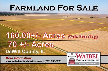 Land for sale in DeWitt County, Illinois