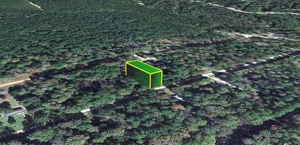 Timberland Property in Polk County, Texas