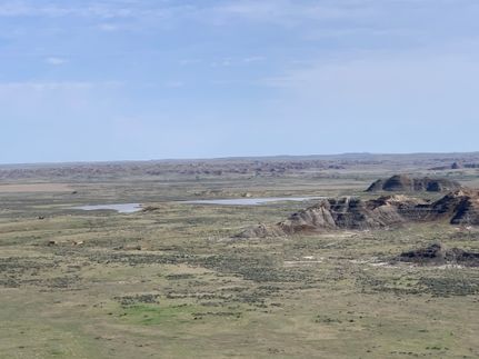 Farm and Ranch for sale in Custer County, Montana