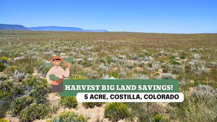 Undeveloped Land in Costilla County, Colorado