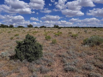 Undeveloped Land for sale in Apache County, Arizona