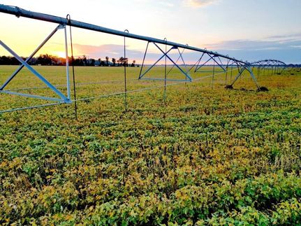 Land for sale in Madison Parish, Louisiana