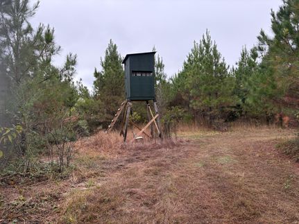 Recreational Property for sale in Lamar County, Alabama