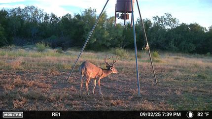 Hunting Property for sale in Zapata County, Texas