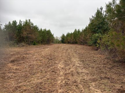 Timberland Property for sale in Lamar County, Alabama